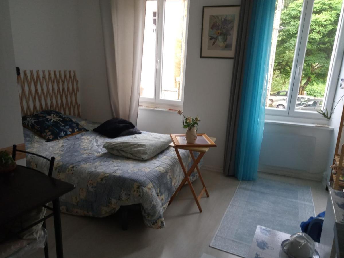 Tiny Studio Ariege Pyrenees Castelnau-Durban エクステリア 写真